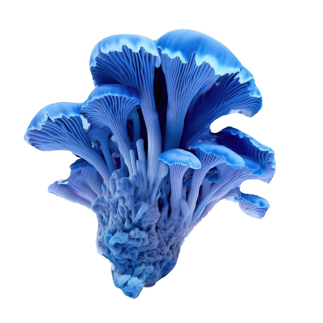 3D Pandora Mushroom Pack https://p.turbosquid.com/ts-thumb/vR/ZLKo2p/mO/67567567/jpg/1703011259/1920x1080/fit_q87/57212968d072e3db66719aca5512df8b7f7380f2/67567567.jpg