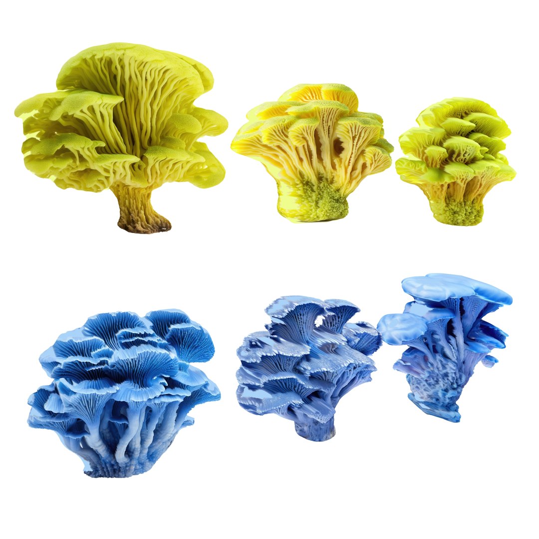 3D Pandora Mushroom Pack https://p.turbosquid.com/ts-thumb/vR/ZLKo2p/n0/564564564/jpg/1703011260/1920x1080/fit_q87/3f26244ef5bb305d5adb0245a3000c15deaf0046/564564564.jpg