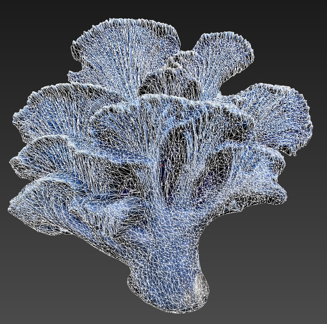 3D Pandora Mushroom Pack https://p.turbosquid.com/ts-thumb/vR/ZLKo2p/pf/lljhjk/jpg/1703011265/1920x1080/fit_q87/1bfd57c5d041e0cba12777d75727fbb98f8bf227/lljhjk.jpg