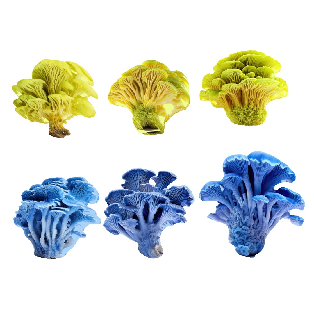 3D Pandora Mushroom Pack https://p.turbosquid.com/ts-thumb/vR/ZLKo2p/qu/67567567567/jpg/1703011259/1920x1080/fit_q87/d75c8522fe58a0dd9f35d773e11e75c80e25dcee/67567567567.jpg
