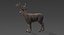Deer Fur Rigged Collection