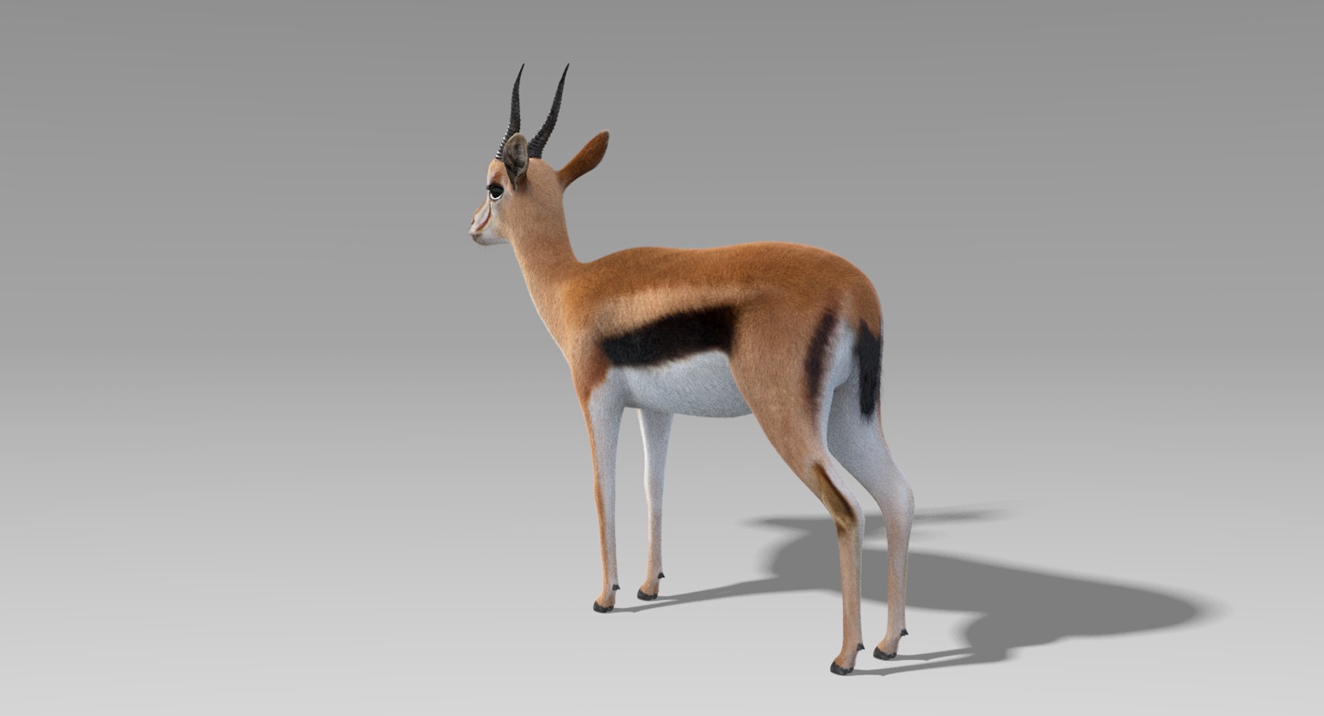deer fur rigged 3D https://p.turbosquid.com/ts-thumb/vR/iuYaDs/8DXUo6kr/deer18/png/1530849998/1920x1080/fit_q87/8d926eb9ef7faa39f4e12383b092aac3374e0a3f/deer18.jpg