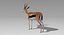 Deer Fur Rigged Collection