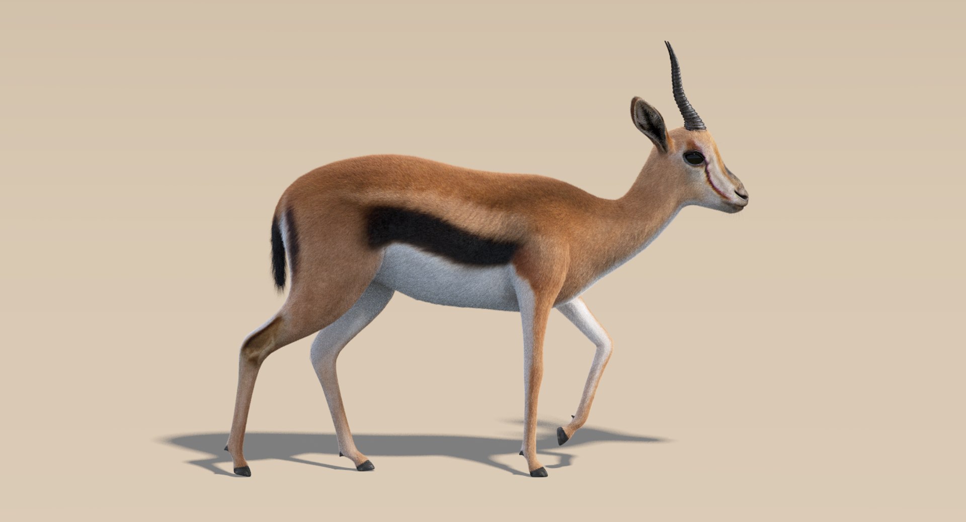 deer fur rigged 3D https://p.turbosquid.com/ts-thumb/vR/iuYaDs/CwfGKDzF/deer15/png/1530849975/1920x1080/fit_q87/028ae44430c9787d16ad2dd6d7721b1edb007399/deer15.jpg