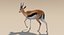 deer fur rigged 3D