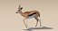 Deer Fur Rigged Collection