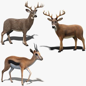 Deer Fur Rigged Collection
