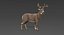Deer Fur Rigged Collection