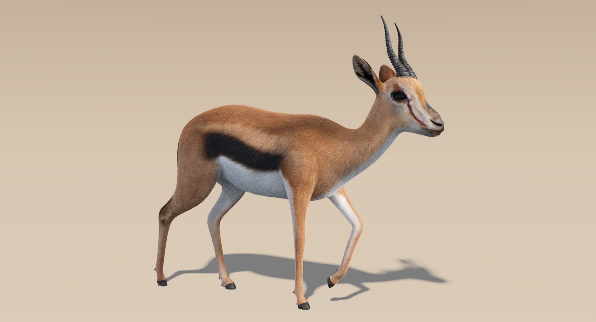 deer fur rigged 3D https://p.turbosquid.com/ts-thumb/vR/iuYaDs/mKCuJ9hd/deer12/png/1530849904/1920x1080/fit_q87/ba4656b5e8459a5afd6fb3b328fef81222484b76/deer12.jpg
