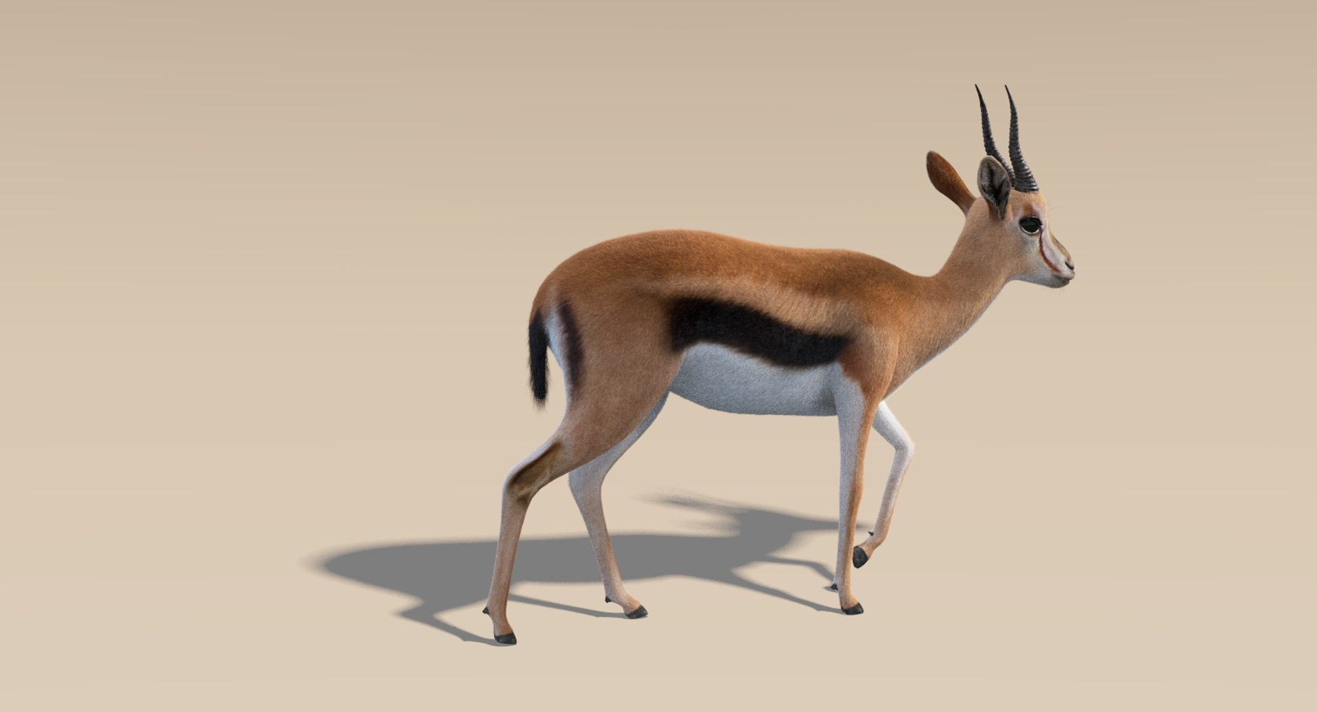 deer fur rigged 3D https://p.turbosquid.com/ts-thumb/vR/iuYaDs/nF0V9YwX/deer17/png/1530849991/1920x1080/fit_q87/a5d492704a4fd40bd6aa4bc7194a2bc2b84846c7/deer17.jpg
