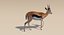 Deer Fur Rigged Collection
