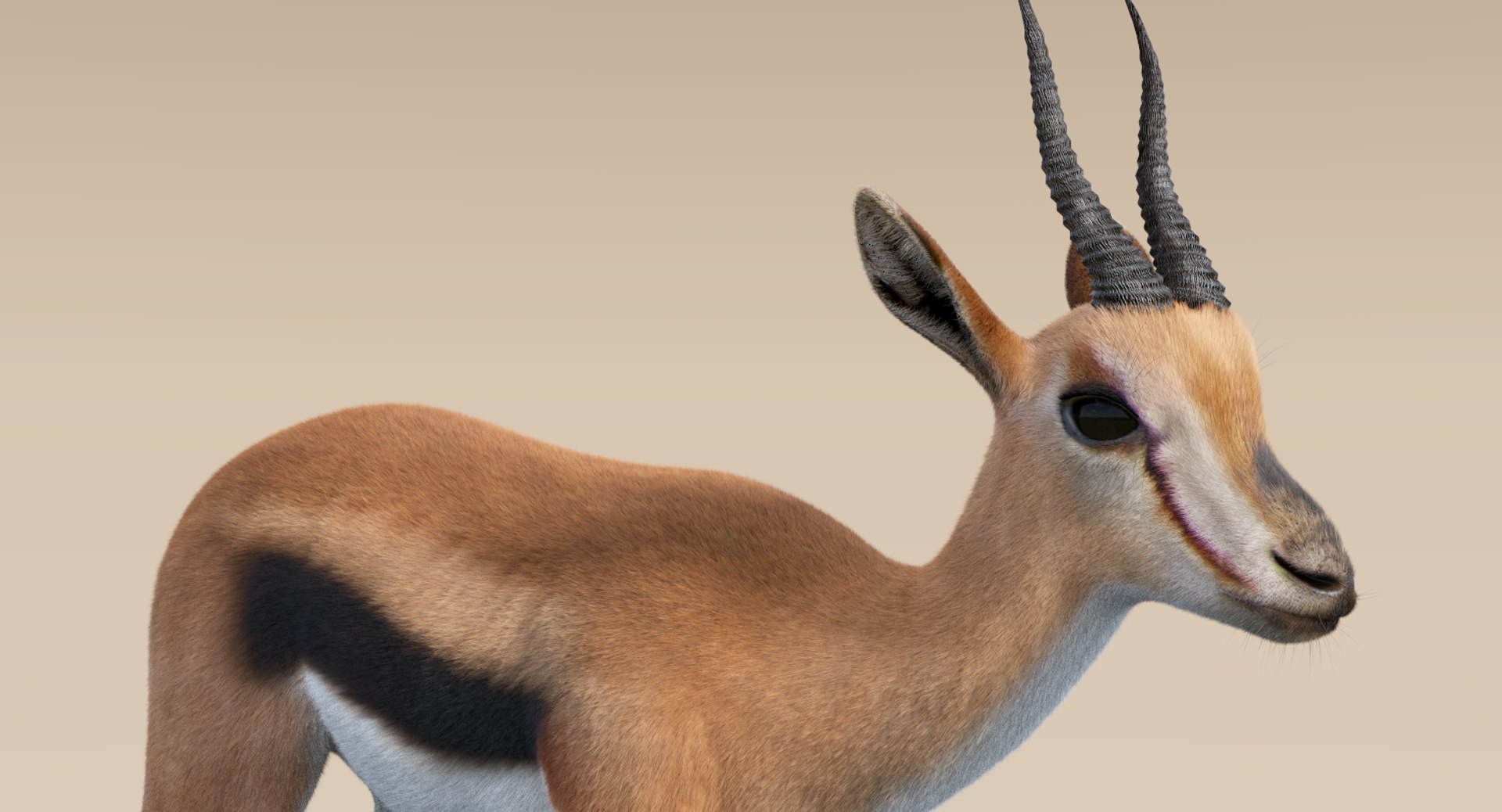 deer fur rigged 3D https://p.turbosquid.com/ts-thumb/vR/iuYaDs/zDPmsB80/deer13/png/1530849940/1920x1080/fit_q87/fbc7f605281f6293dc8793c5bc88a75856a5f1ca/deer13.jpg