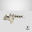 Domestic Cat Sacrum and First Three Caudal Vertebrae Bones 01