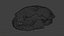 skull cat 3D
