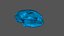 skull cat 3D