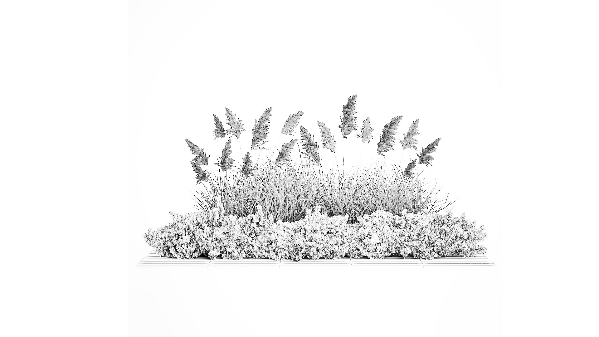 3D Juniper bushes and pampas grass for landscaping 1171 https://p.turbosquid.com/ts-thumb/vR/up6V94/BO/1plant0601202309/jpg/1673185724/1920x1080/fit_q87/9942373b4744b1a80daaa0b4d7ab1d1affe9fcef/1plant0601202309.jpg