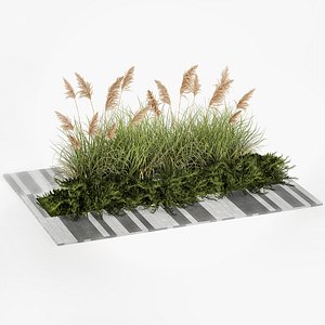 3D Juniper bushes and pampas grass for landscaping 1171
