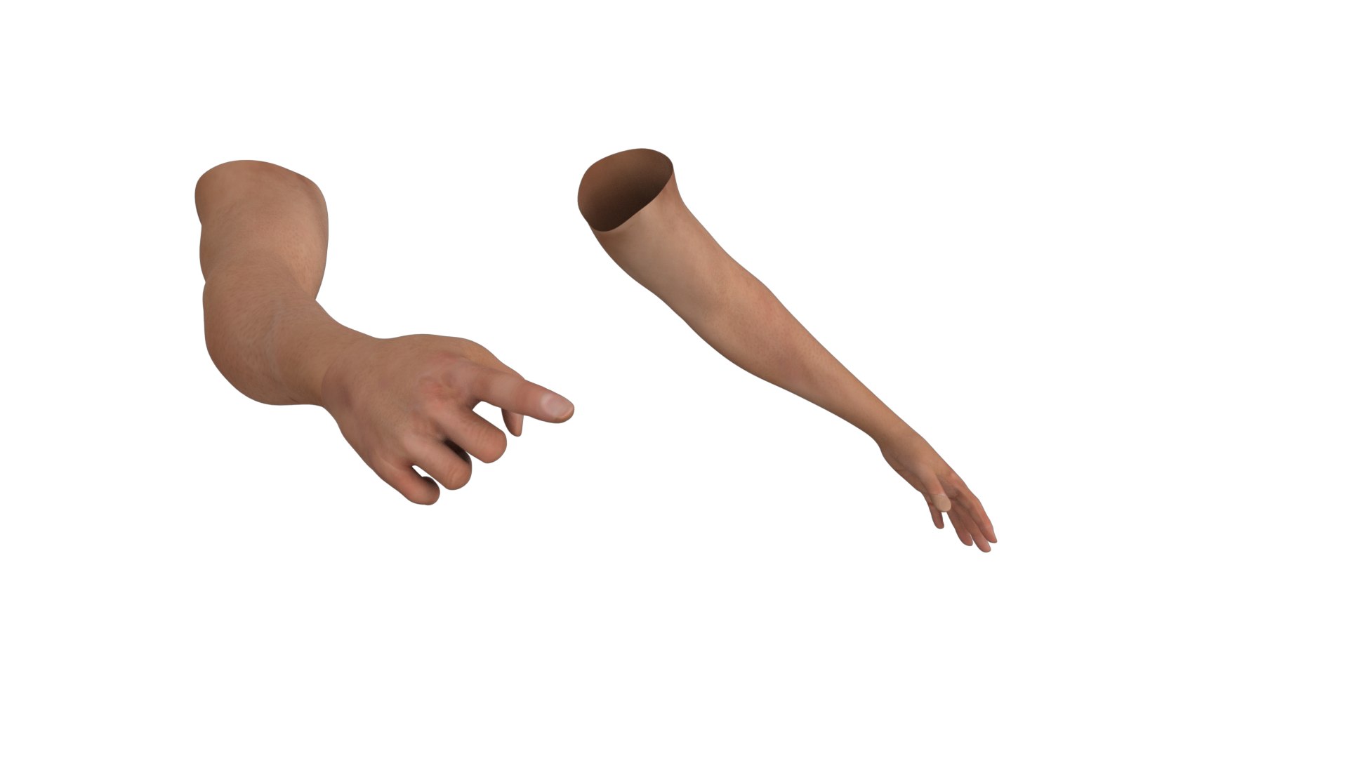 3D Hands Rigged - TurboSquid 1985238