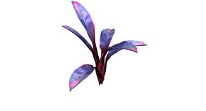 Small Ornamental Plant 2
