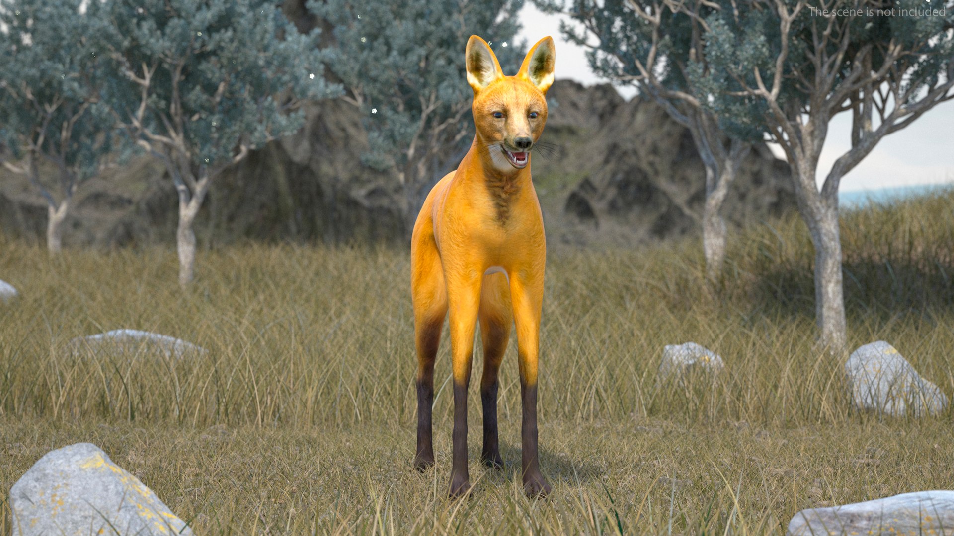 3D Chrysocyon Rigged for Maya https://p.turbosquid.com/ts-thumb/vS/2ejnOH/2s/chrysocyonriggedformayac4dmodel010/jpg/1714177378/1920x1080/fit_q87/57e2fc15050b0e8b71e98fecc32ef4000603a64f/chrysocyonriggedformayac4dmodel010.jpg