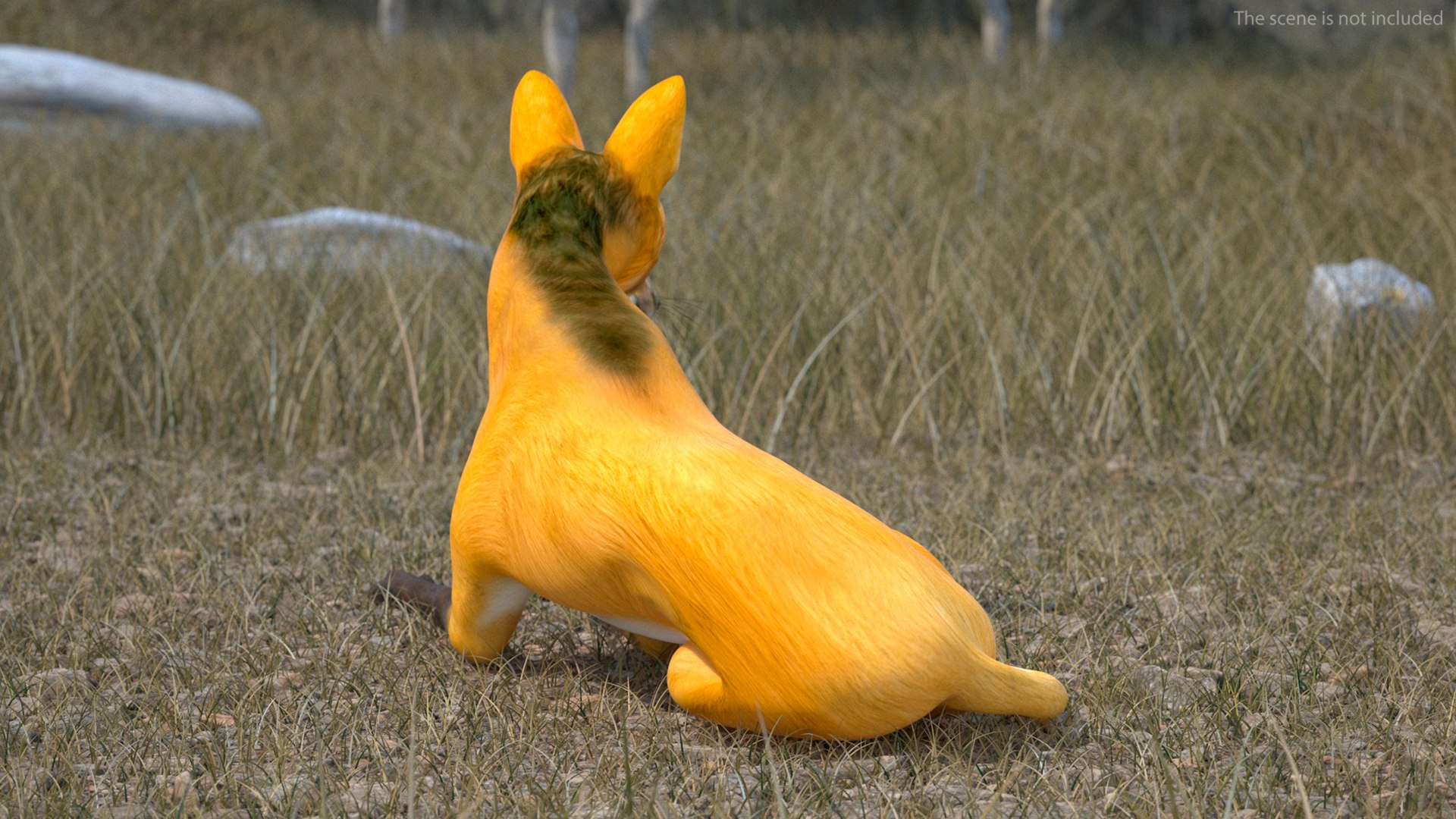 3D Chrysocyon Rigged for Maya https://p.turbosquid.com/ts-thumb/vS/2ejnOH/6r/chrysocyonriggedformayac4dmodel009/jpg/1714177371/1920x1080/fit_q87/c120b3ee92660ca6534e7a23482c1520c3b296da/chrysocyonriggedformayac4dmodel009.jpg