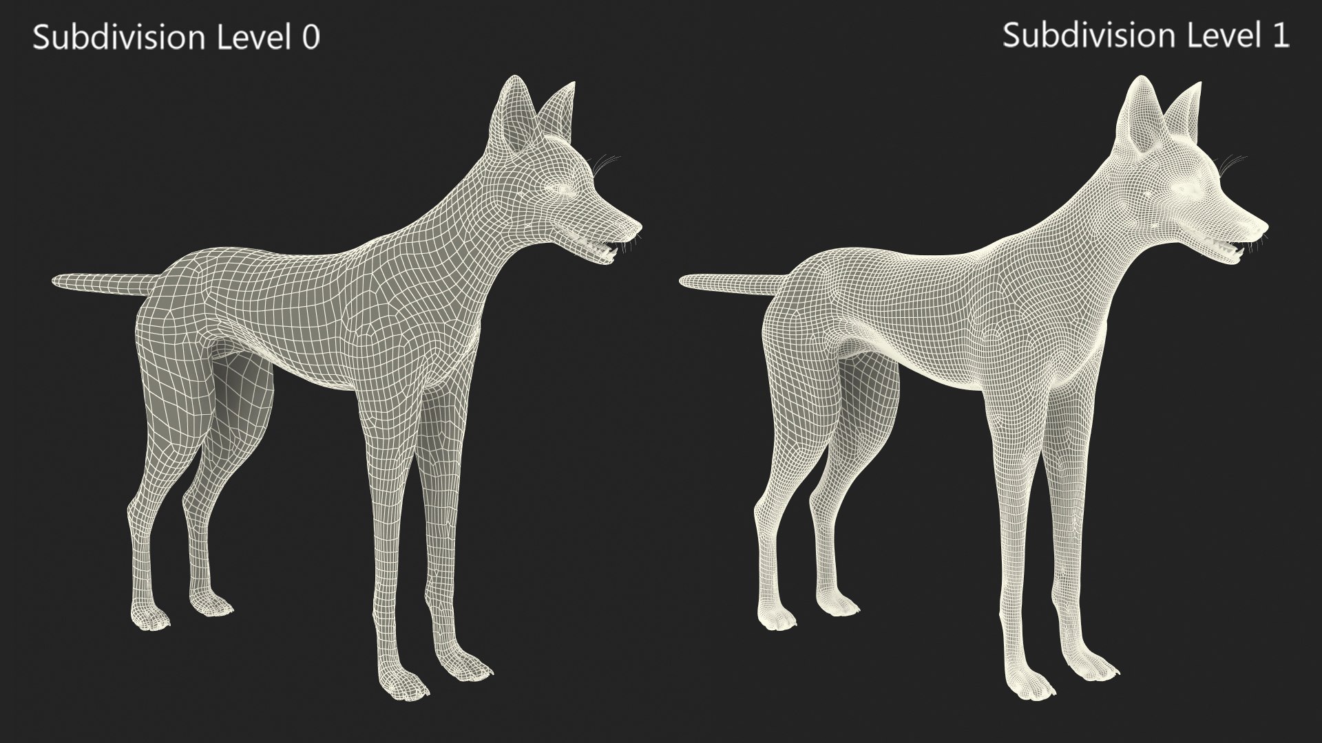 3D Chrysocyon Rigged for Maya https://p.turbosquid.com/ts-thumb/vS/2ejnOH/9E/chrysocyonriggedformayac4dmodel042/jpg/1714177550/1920x1080/fit_q87/626ad8c80aaa35a295ea97da14bdf620541bc094/chrysocyonriggedformayac4dmodel042.jpg