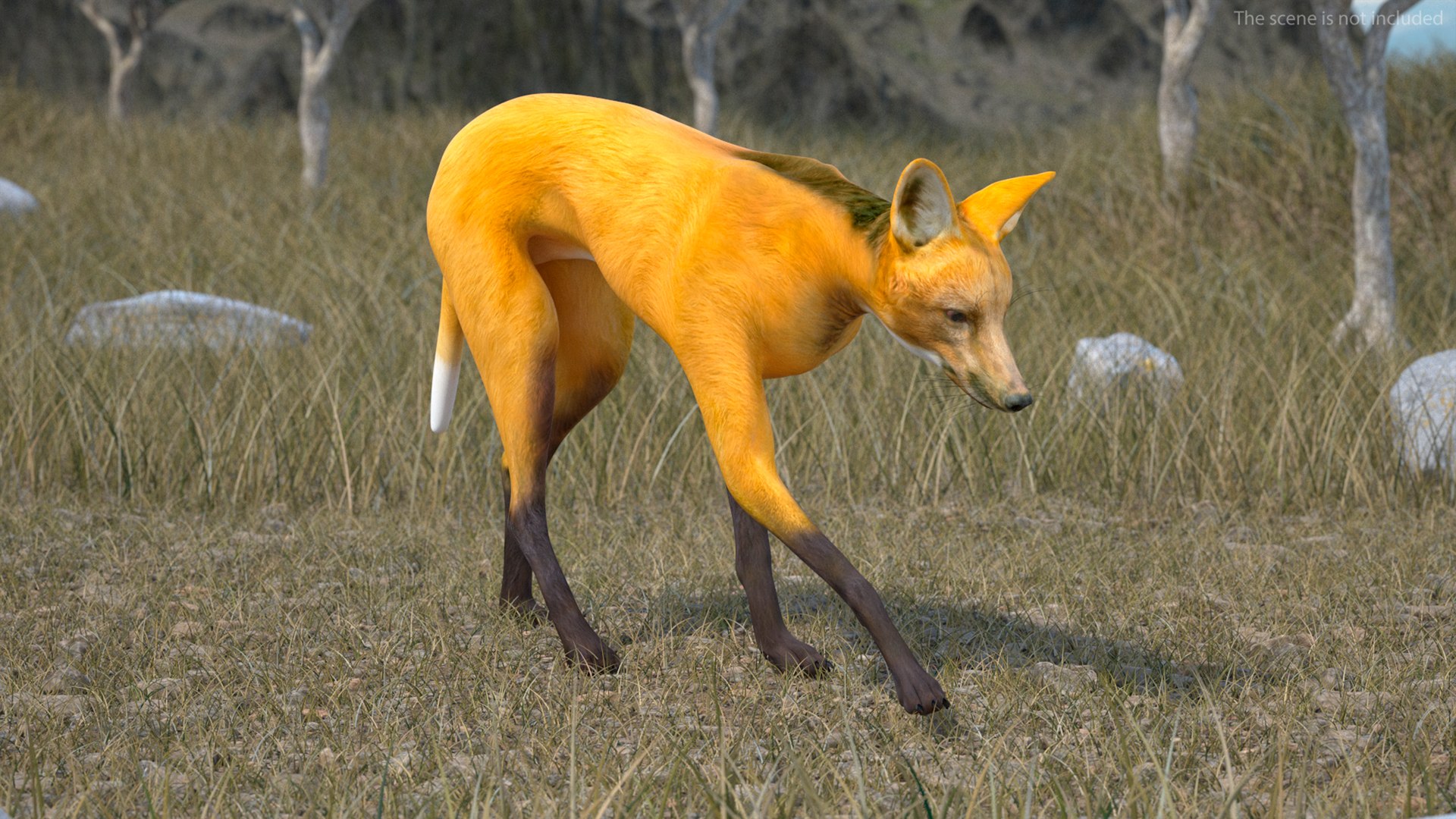 3D Chrysocyon Rigged for Maya https://p.turbosquid.com/ts-thumb/vS/2ejnOH/Bn/chrysocyonriggedformayac4dmodel003/jpg/1714177329/1920x1080/fit_q87/7aebcd3ae85c3ca4b978bed706c21036a9db1e51/chrysocyonriggedformayac4dmodel003.jpg