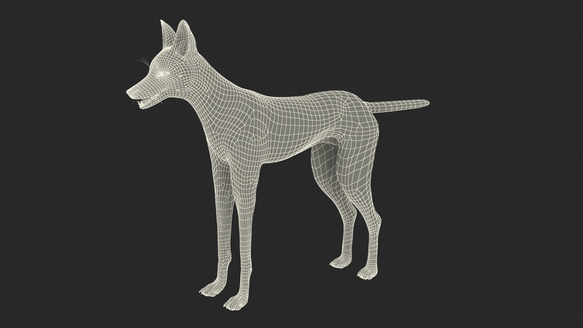 3D Chrysocyon Rigged for Maya https://p.turbosquid.com/ts-thumb/vS/2ejnOH/Lb/chrysocyonriggedformayac4dmodel046/jpg/1714177571/1920x1080/fit_q87/1003f99dd98b448c6e2e7ad8027ae122b80ce10b/chrysocyonriggedformayac4dmodel046.jpg