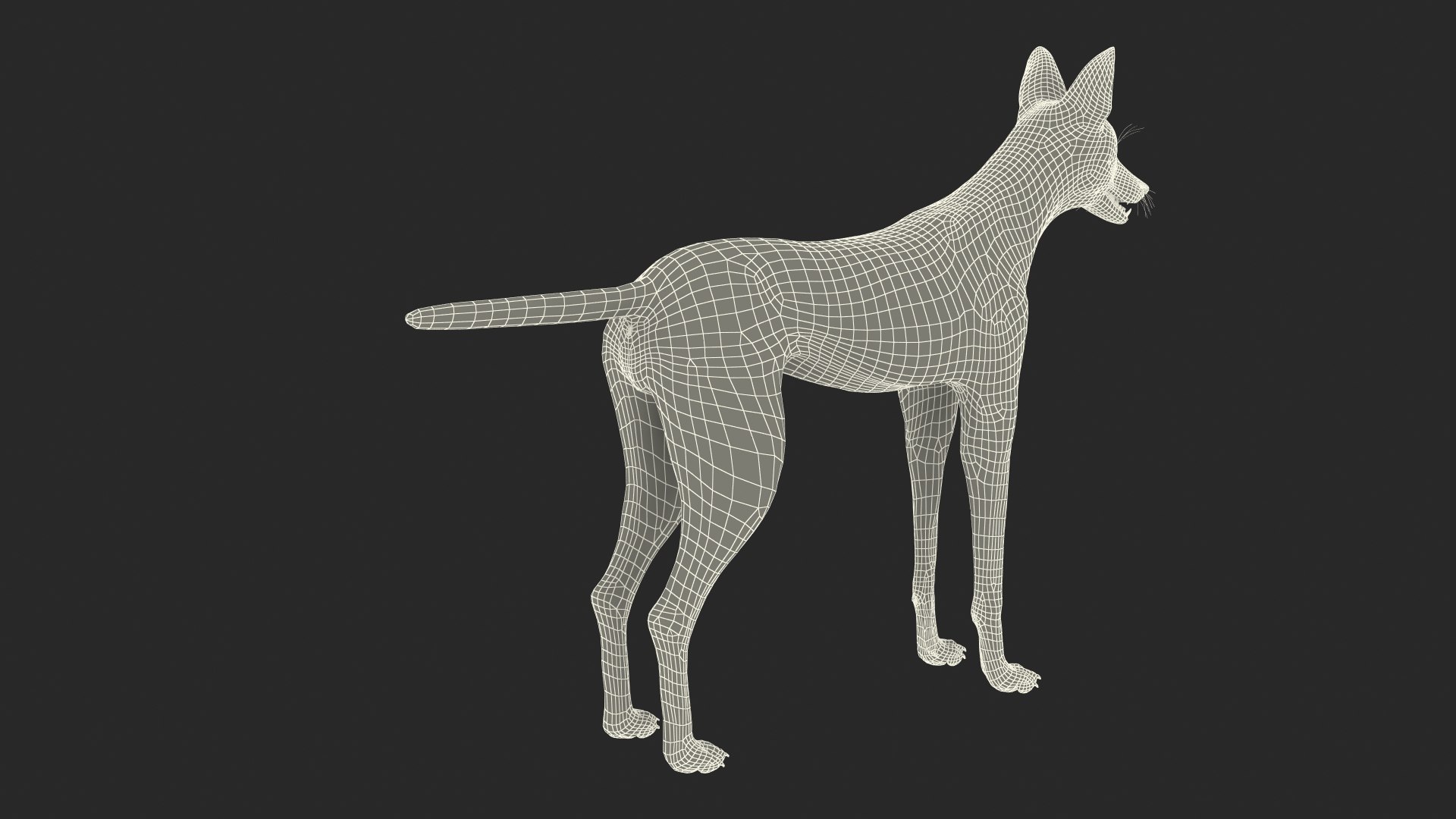 3D Chrysocyon Rigged for Maya https://p.turbosquid.com/ts-thumb/vS/2ejnOH/XX/chrysocyonriggedformayac4dmodel047/jpg/1714177575/1920x1080/fit_q87/0792fab1bdf2b3b836d8801f587fcb0f84481323/chrysocyonriggedformayac4dmodel047.jpg