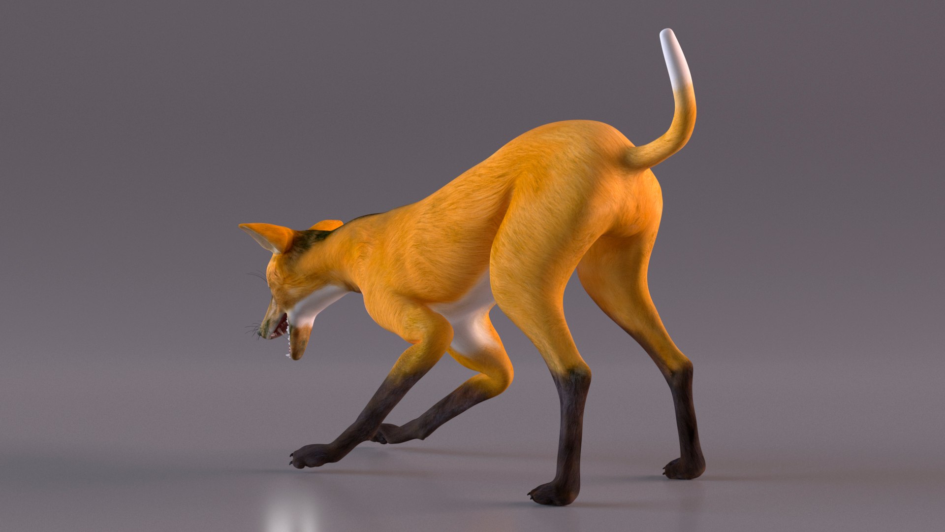 3D Chrysocyon Rigged for Maya https://p.turbosquid.com/ts-thumb/vS/2ejnOH/Xl/chrysocyonriggedformayac4dmodel015/jpg/1714177409/1920x1080/fit_q87/44fff5fbf00c37a455bac9ab8d3589f68050aa25/chrysocyonriggedformayac4dmodel015.jpg