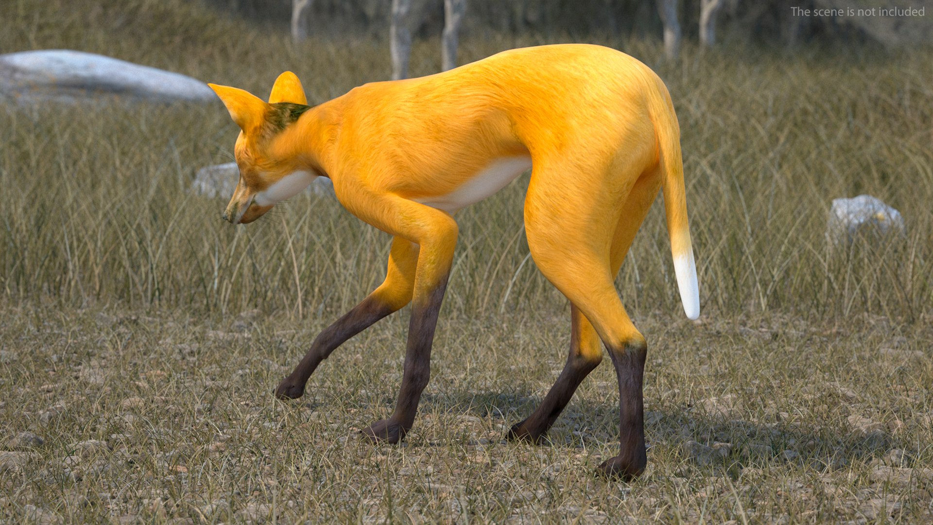 3D Chrysocyon Rigged for Maya https://p.turbosquid.com/ts-thumb/vS/2ejnOH/eg/chrysocyonriggedformayac4dmodel007/jpg/1714177357/1920x1080/fit_q87/8be20f0429c5ecbbf13c8869112172b9b3b1be30/chrysocyonriggedformayac4dmodel007.jpg