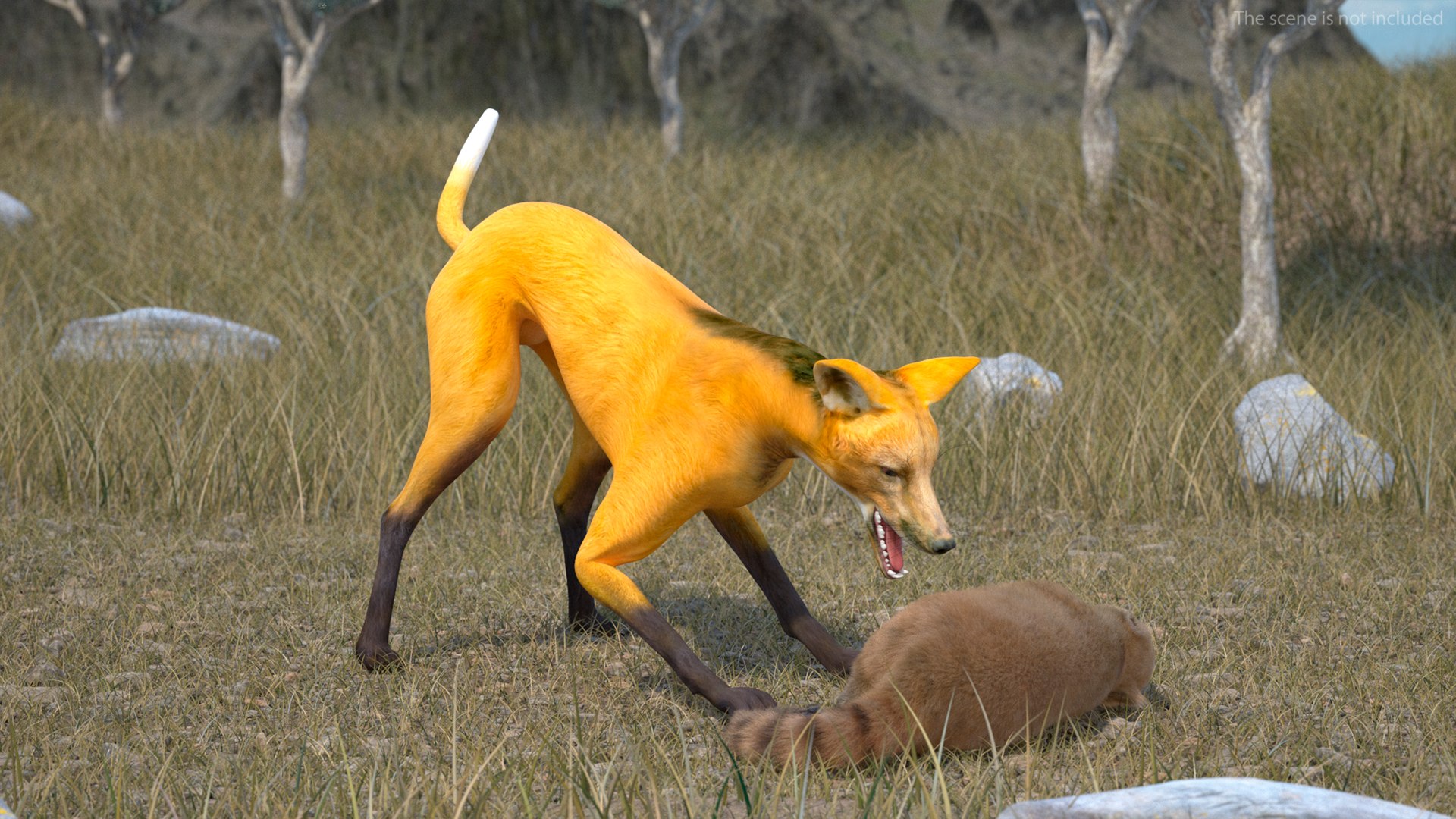 3D Chrysocyon Rigged for Maya https://p.turbosquid.com/ts-thumb/vS/2ejnOH/m5/chrysocyonriggedformayac4dmodel004/jpg/1714177336/1920x1080/fit_q87/29ffa137c640fcabff119a9cfe1edcc7b72d10a6/chrysocyonriggedformayac4dmodel004.jpg