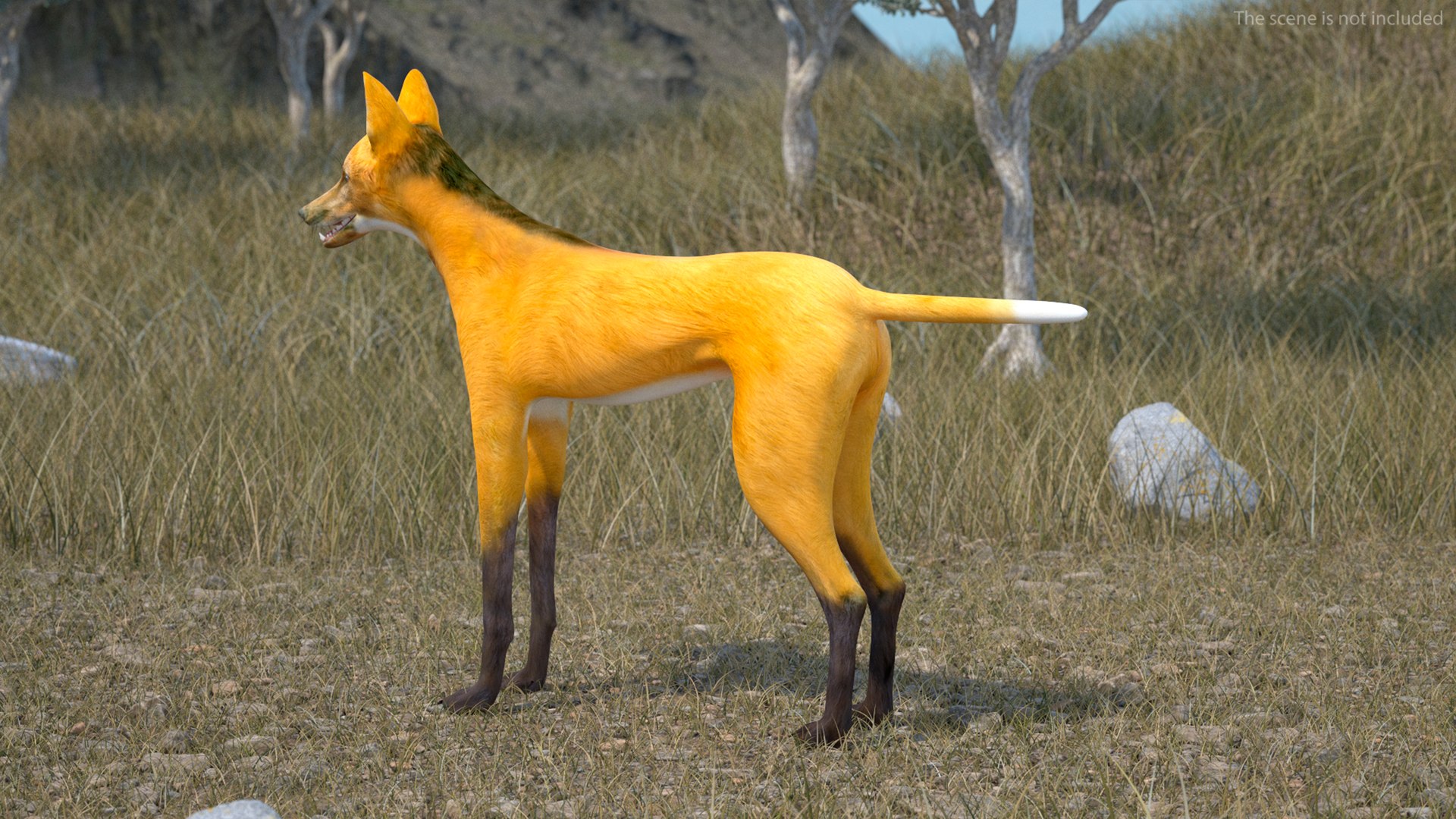 3D Chrysocyon Rigged for Maya https://p.turbosquid.com/ts-thumb/vS/2ejnOH/sX/chrysocyonriggedformayac4dmodel006/jpg/1714177350/1920x1080/fit_q87/ef3611d6f31733aff9d87af43fc6c77336a98368/chrysocyonriggedformayac4dmodel006.jpg