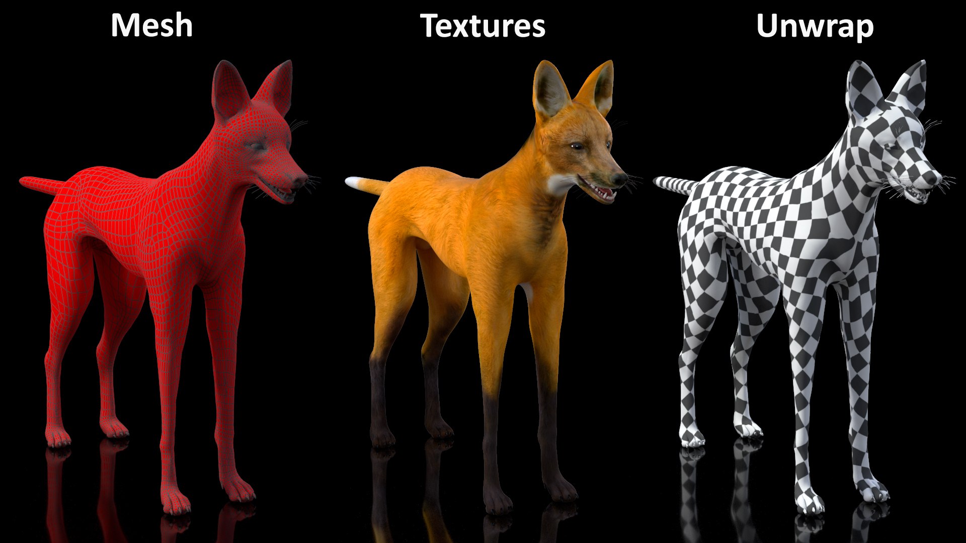 3D Chrysocyon Rigged for Maya https://p.turbosquid.com/ts-thumb/vS/2ejnOH/sw/chrysocyonriggedformayac4dmodel040/jpg/1714177540/1920x1080/fit_q87/8f20a0dbe5dcecdc70b0aada4887e8db348e917e/chrysocyonriggedformayac4dmodel040.jpg
