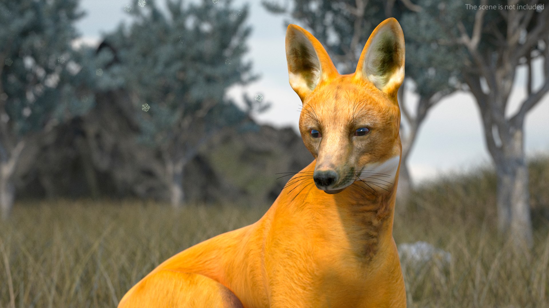 3D Chrysocyon Rigged for Maya https://p.turbosquid.com/ts-thumb/vS/2ejnOH/xI/chrysocyonriggedformayac4dmodel012/jpg/1714177392/1920x1080/fit_q87/41ca26b3c7a0b732724f1c3927e59a8f92aeedce/chrysocyonriggedformayac4dmodel012.jpg