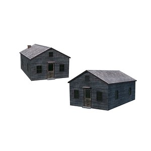 3D Old house