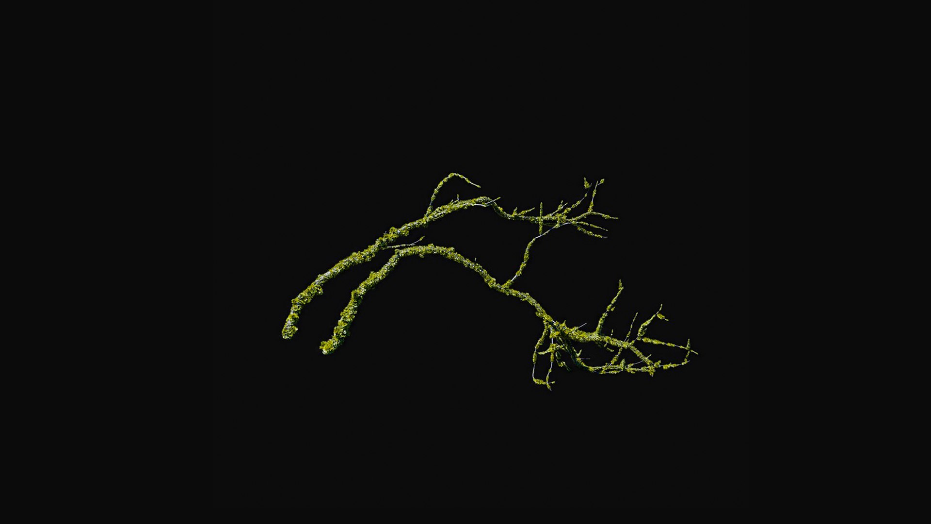 3D model Huge All In One Tree Set Pack https://p.turbosquid.com/ts-thumb/vS/JE1IHc/3m/foresttreemodels32/jpg/1744566196/1920x1080/fit_q87/63be8209a02f385a46c6347e03feb78c782d3af7/foresttreemodels32.jpg