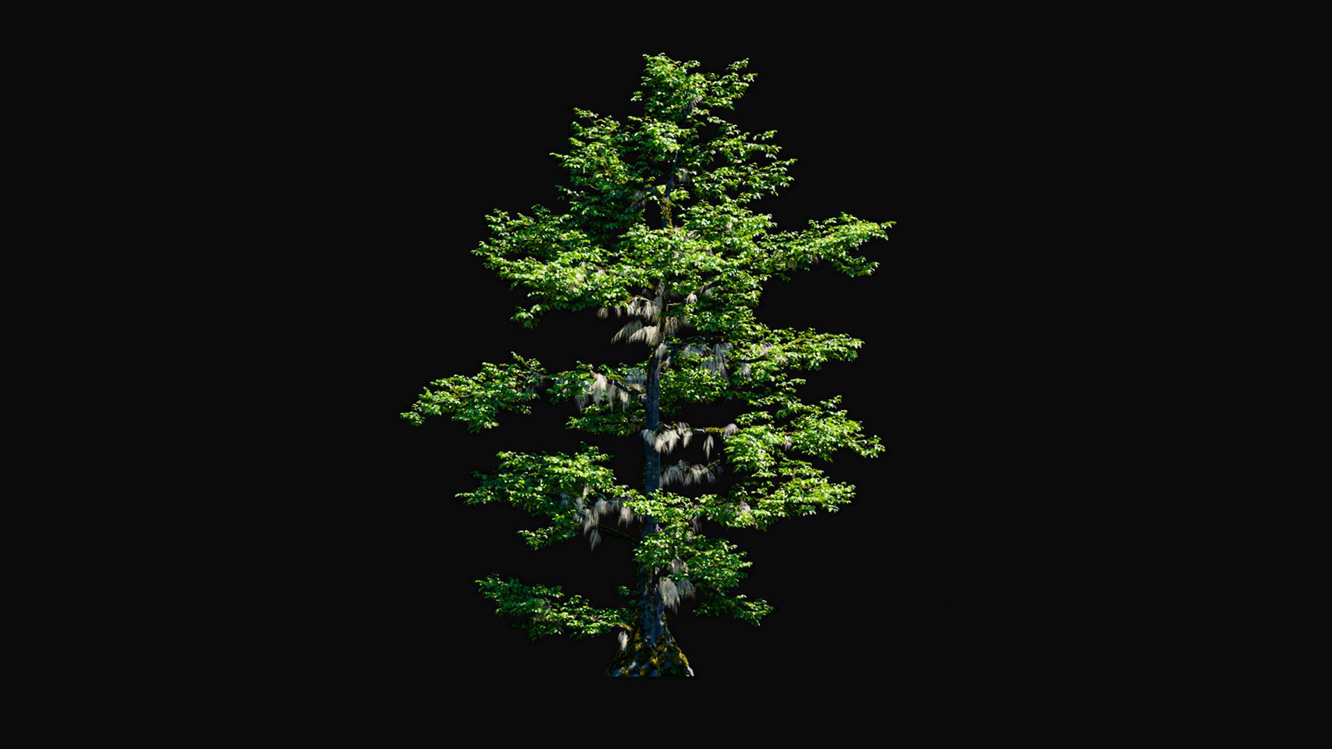 3D model Huge All In One Tree Set Pack https://p.turbosquid.com/ts-thumb/vS/JE1IHc/5F/foresttreemodels27/jpg/1744566191/1920x1080/fit_q87/2b46c8322bf539604eaff9d00d1c93469fa25bda/foresttreemodels27.jpg
