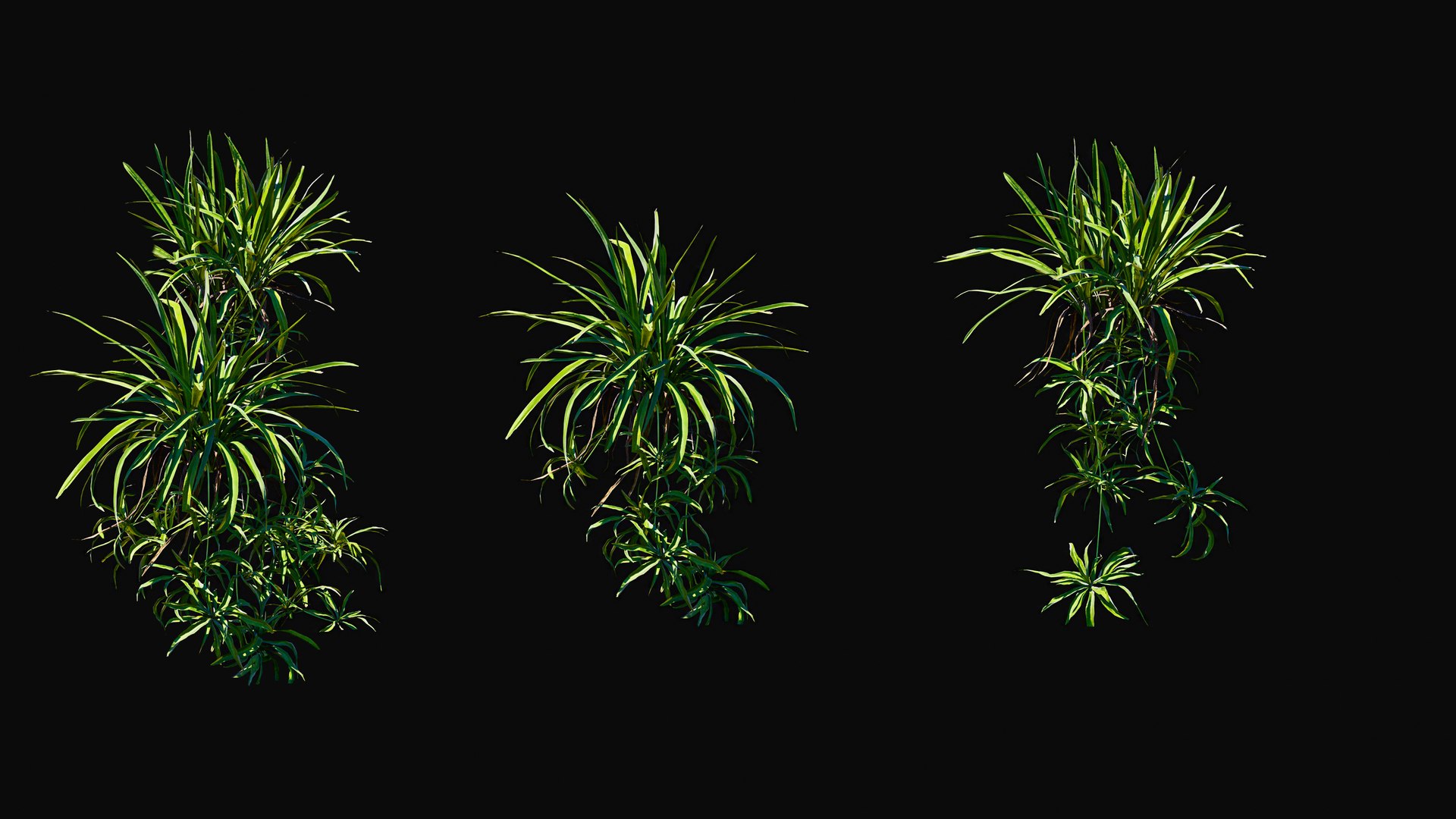 3D model Huge All In One Tree Set Pack https://p.turbosquid.com/ts-thumb/vS/JE1IHc/7X/foresttreemodels4/jpg/1744566166/1920x1080/fit_q87/955142d1bed3d432d0cb3442585c6cb1dd4e5ca9/foresttreemodels4.jpg