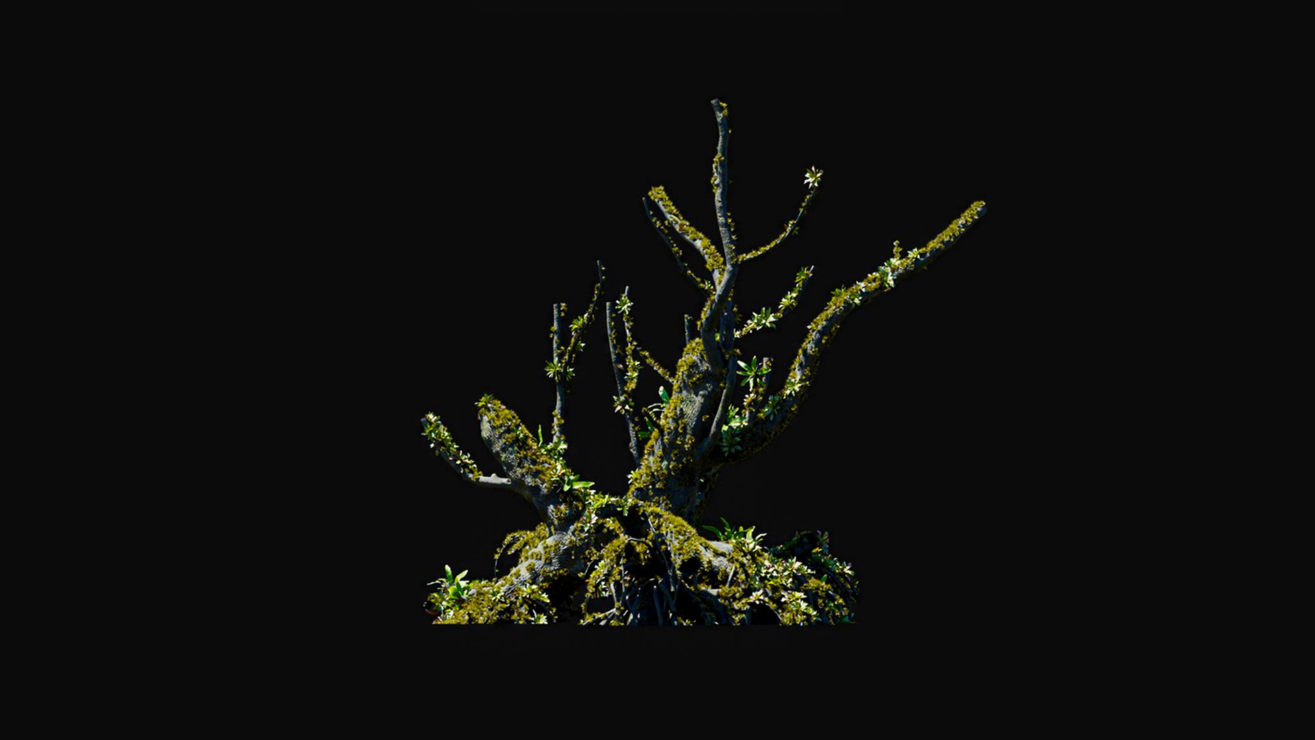3D model Huge All In One Tree Set Pack https://p.turbosquid.com/ts-thumb/vS/JE1IHc/GX/foresttreemodels34/jpg/1744566195/1920x1080/fit_q87/be78e37538c7c8f9436f57c556c41d63849e3310/foresttreemodels34.jpg