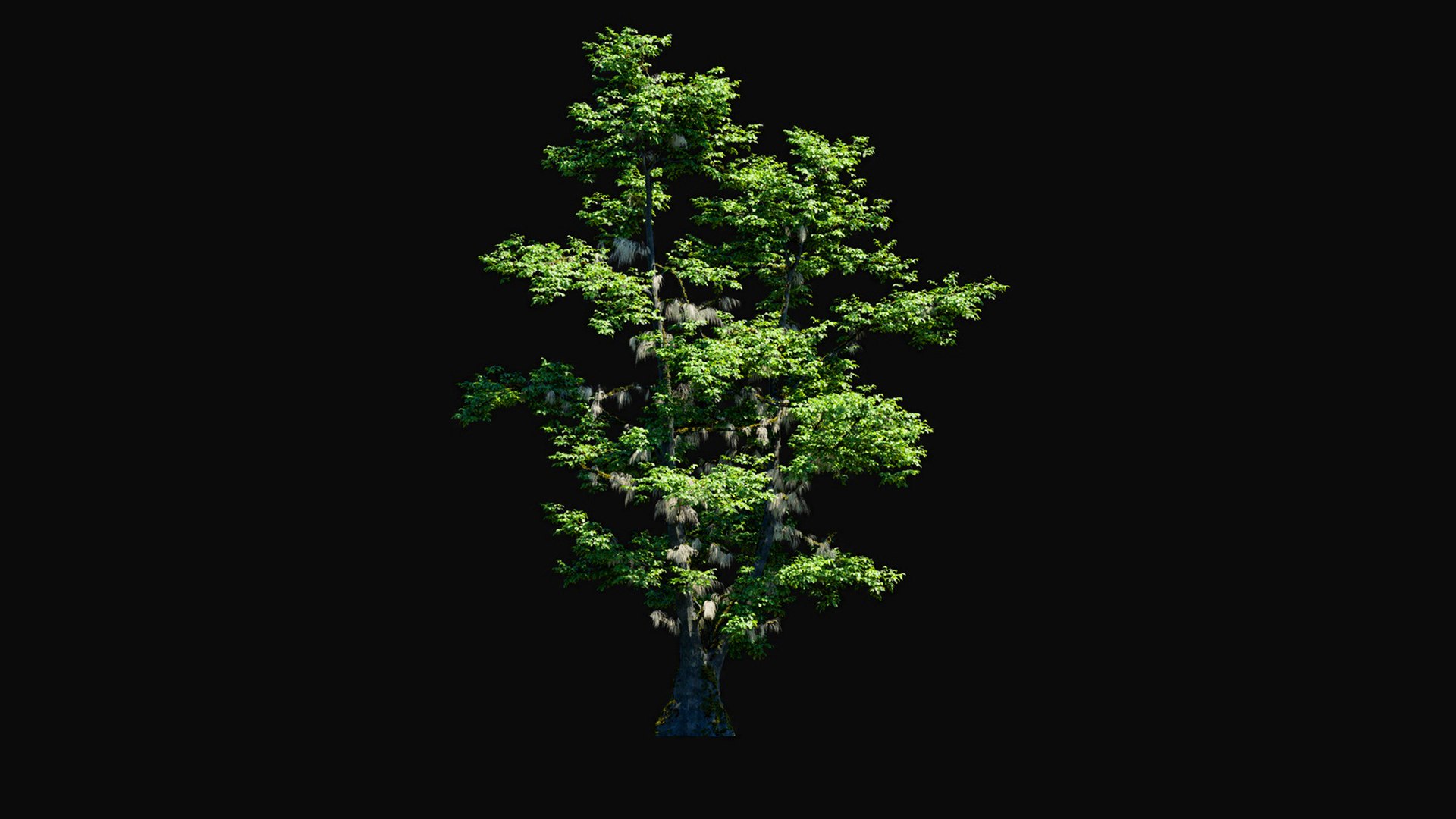 3D model Huge All In One Tree Set Pack https://p.turbosquid.com/ts-thumb/vS/JE1IHc/LX/foresttreemodels25/jpg/1744566197/1920x1080/fit_q87/b53bc692dd64302c4d7487a54966ac26176b3fc7/foresttreemodels25.jpg