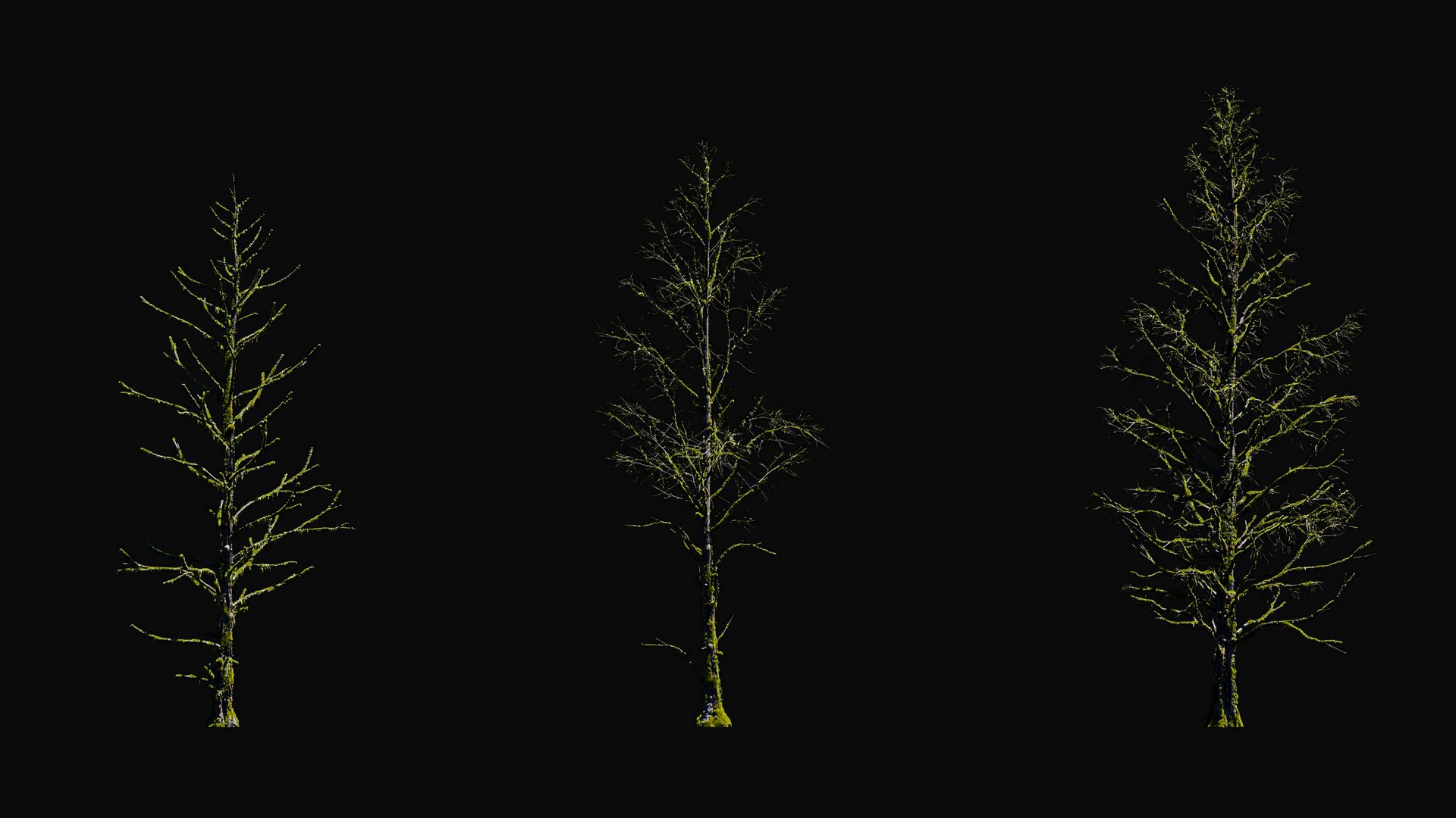 3D model Huge All In One Tree Set Pack https://p.turbosquid.com/ts-thumb/vS/JE1IHc/Lg/foresttreemodels11/jpg/1744566172/1920x1080/fit_q87/23d5719bda812dd778f8bdc4c5942697b2ff00f0/foresttreemodels11.jpg