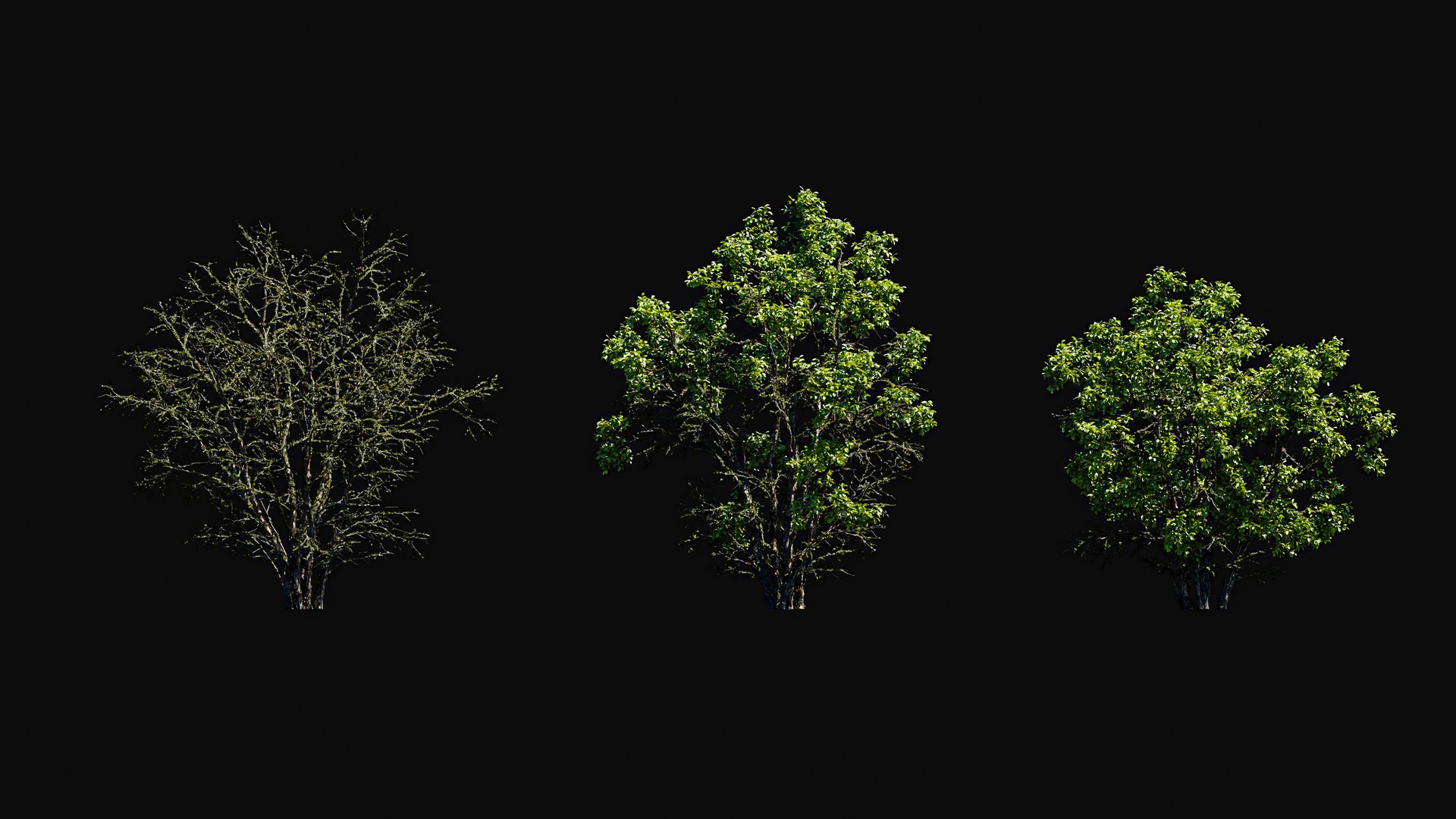 3D model Huge All In One Tree Set Pack https://p.turbosquid.com/ts-thumb/vS/JE1IHc/NL/foresttreemodels19/jpg/1744566159/1920x1080/fit_q87/b05abdc9ccb0cd6b7f386f91540fd19d889e4176/foresttreemodels19.jpg