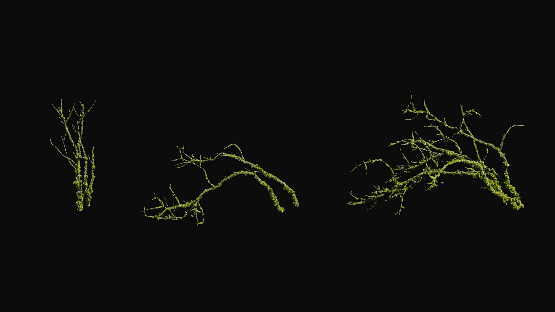 3D model Huge All In One Tree Set Pack https://p.turbosquid.com/ts-thumb/vS/JE1IHc/R9/foresttreemodels22/jpg/1744566161/1920x1080/fit_q87/61e4596466a5a8c97f269958137265dfdf30b826/foresttreemodels22.jpg