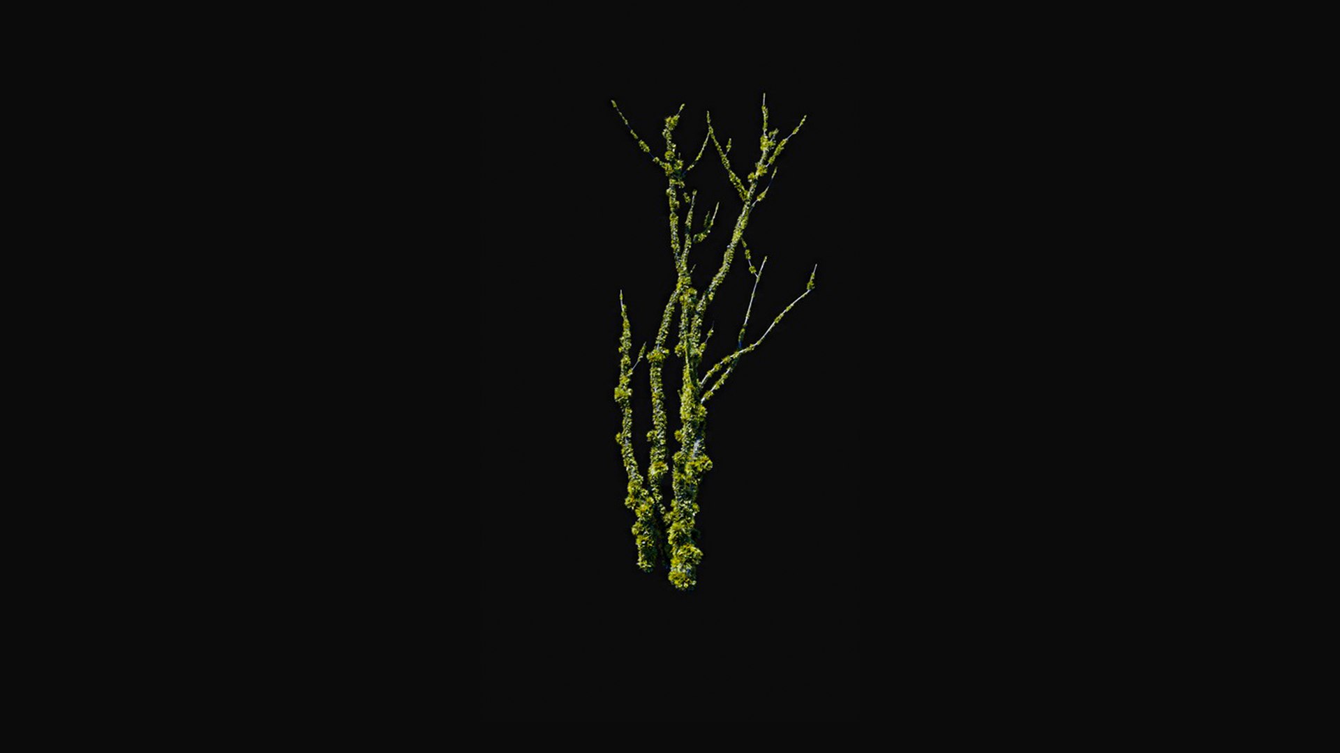 3D model Huge All In One Tree Set Pack https://p.turbosquid.com/ts-thumb/vS/JE1IHc/Tu/foresttreemodels33/jpg/1744566195/1920x1080/fit_q87/f7efc4b2f2903dd7f926d27da6943b6f7a736d88/foresttreemodels33.jpg