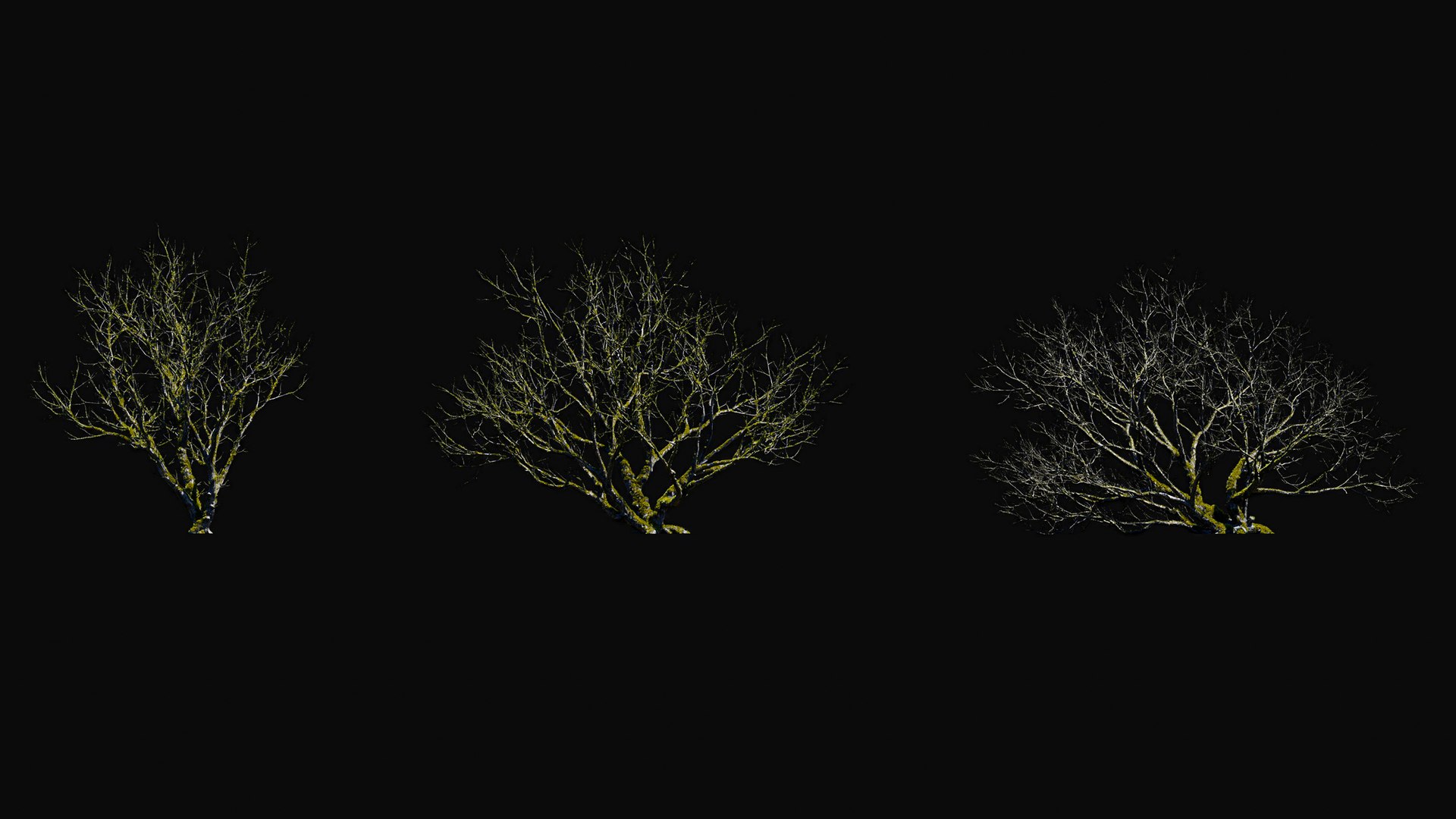 3D model Huge All In One Tree Set Pack https://p.turbosquid.com/ts-thumb/vS/JE1IHc/YN/foresttreemodels13/jpg/1744566173/1920x1080/fit_q87/293d5942f5ad7b0a16321a5605eab13bce4ad2c2/foresttreemodels13.jpg