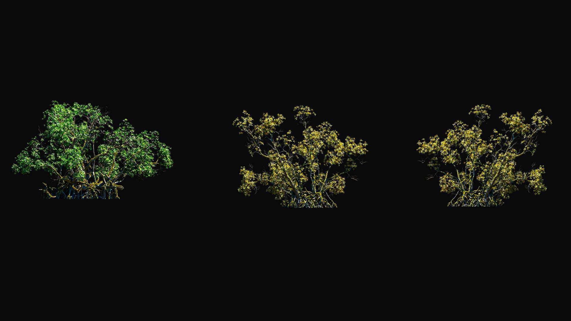 3D model Huge All In One Tree Set Pack https://p.turbosquid.com/ts-thumb/vS/JE1IHc/al/foresttreemodels9/jpg/1744566170/1920x1080/fit_q87/7a3084468bee59e95bcc1d04b76910dec8e12756/foresttreemodels9.jpg