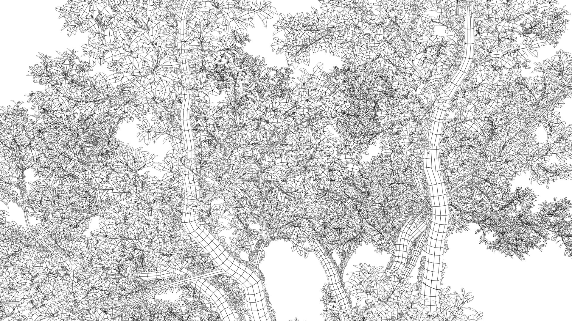 3D model Huge All In One Tree Set Pack https://p.turbosquid.com/ts-thumb/vS/JE1IHc/au/2/png/1744616989/1920x1080/fit_q87/3857014cdadab17fd24c9c4fdf7e11d014a6fe12/2.jpg
