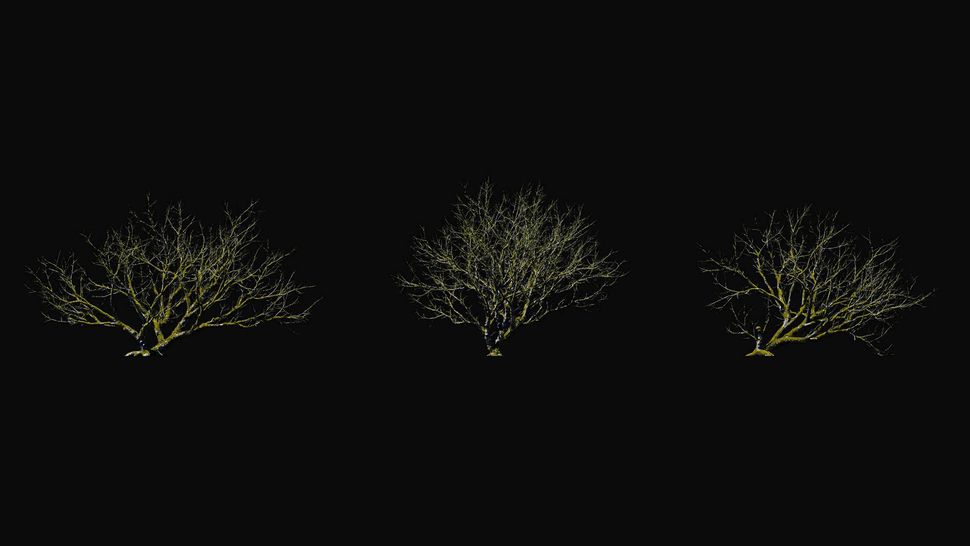 3D model Huge All In One Tree Set Pack https://p.turbosquid.com/ts-thumb/vS/JE1IHc/b6/foresttreemodels14/jpg/1744566154/1920x1080/fit_q87/bf91041553df1c3f2766fd7874d353d5795156da/foresttreemodels14.jpg