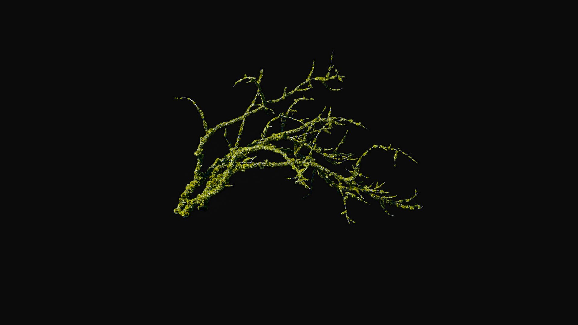 3D model Huge All In One Tree Set Pack https://p.turbosquid.com/ts-thumb/vS/JE1IHc/c1/foresttreemodels31/jpg/1744566193/1920x1080/fit_q87/0bd0d2641376a6b27007ac272da76c18da8ec828/foresttreemodels31.jpg